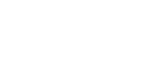 ThinkSpark Strategy